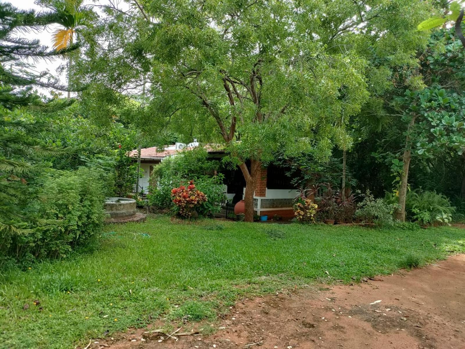 Inn Pondiville Forest Retreat Puducherry Exterior foto