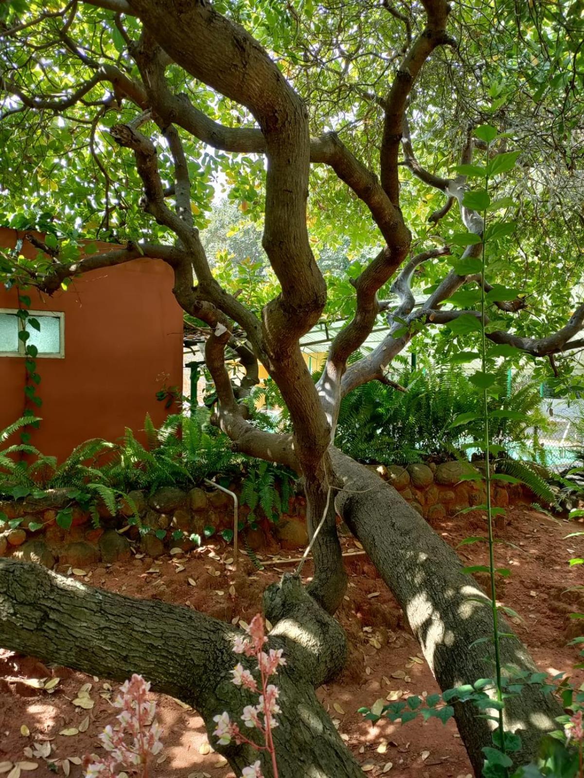 Inn Pondiville Forest Retreat Puducherry Exterior foto