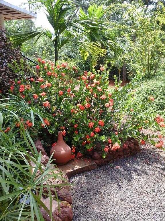 Inn Pondiville Forest Retreat Puducherry Exterior foto